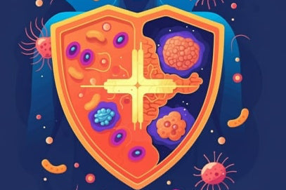 Nahrungsergänzungsmittel für ein gesundes Immunsystem
