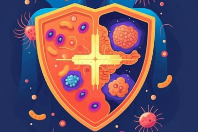 Nahrungsergänzungsmittel für ein gesundes Immunsystem