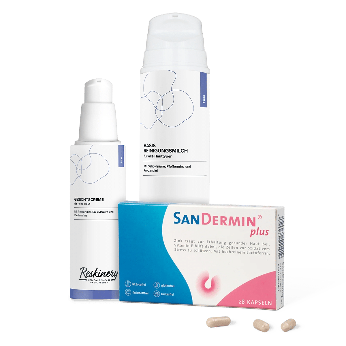 SANDERMIN®PLUS + Reskinery Bundle