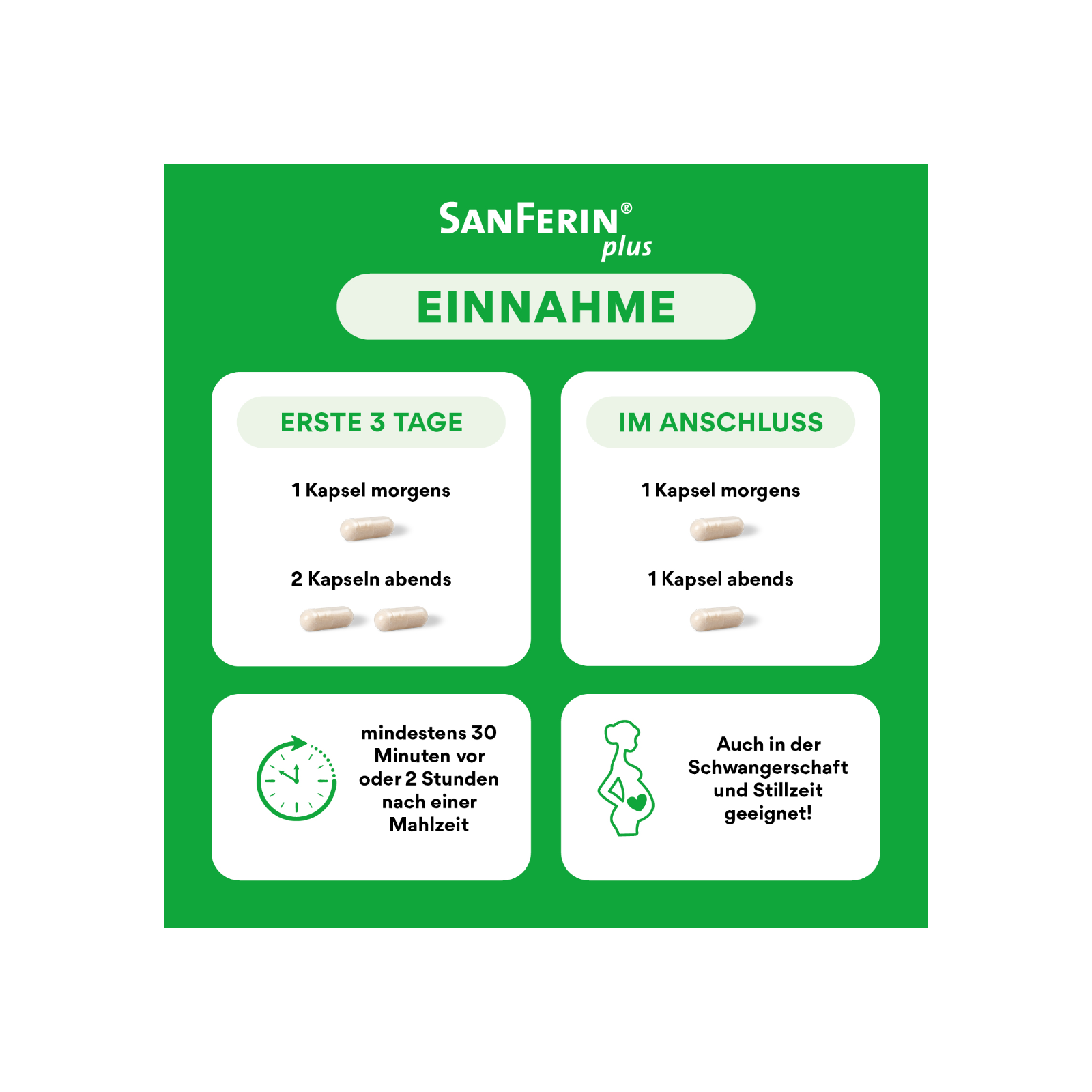 SanFerin plus Einnahme