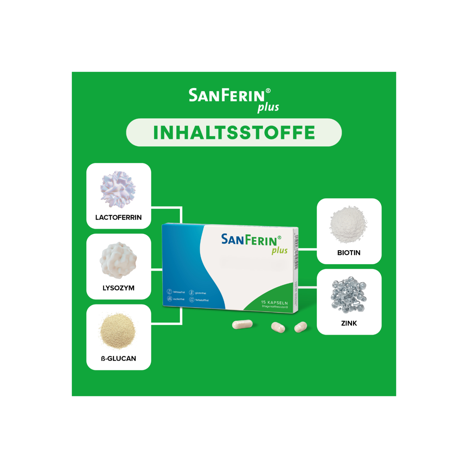 SanFerin plus Inhaltsstoffe